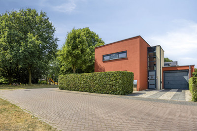 Duizendblad 31
