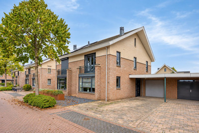 Havikskruid 19