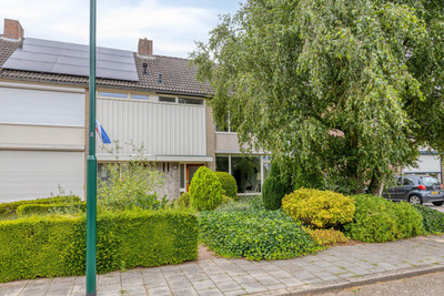 den Urling 20