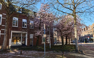 Herungerstraat 2