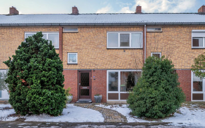 Flamingostraat 14