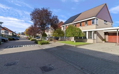 Brandnetel 23
