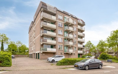 van Laerstraat 102
