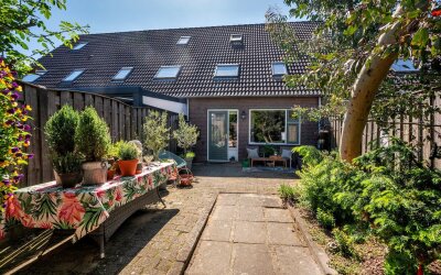 Haagbeuk 13