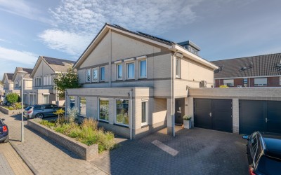 Zwanebloem 15
