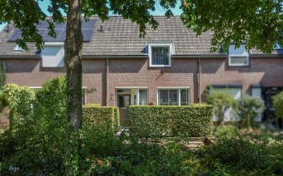 Dotterbloemstraat 20