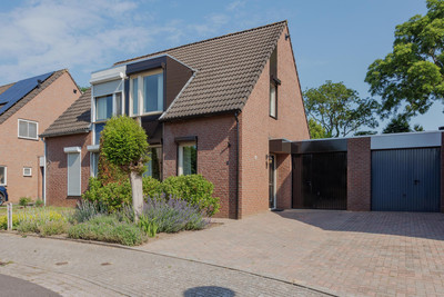 De Scheper 2