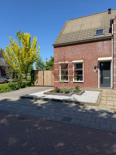 Veldleeuwer. 1