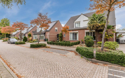 Korenbloem 28