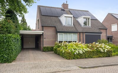 Korenbloem 40