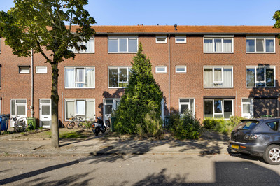 Schuttebeemd 97