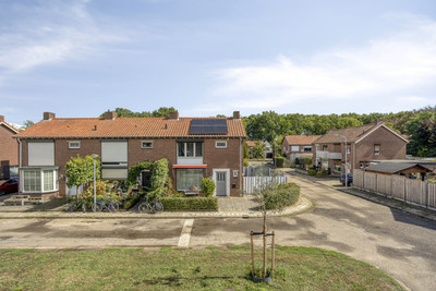 Sprangstraat 10