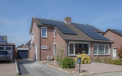 De Wal 29