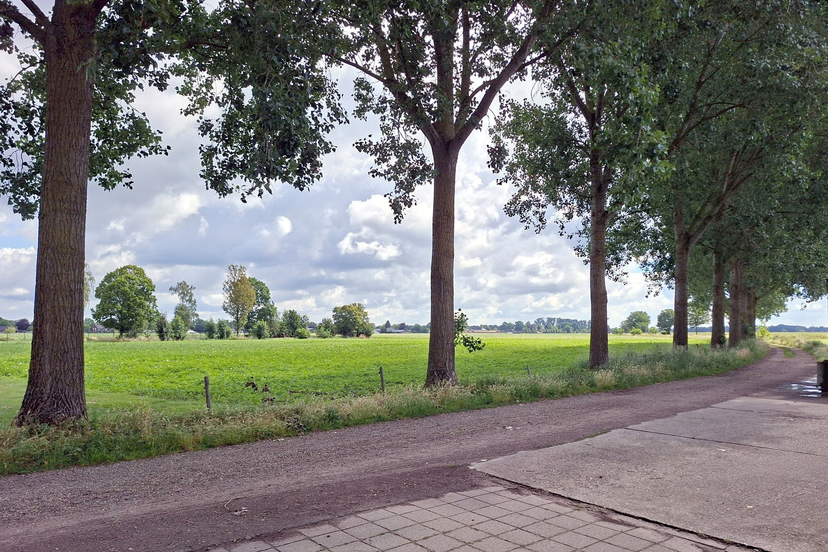 Twee-onder-één-kap te koop: Burg. Van Houtstraat 86, Budel