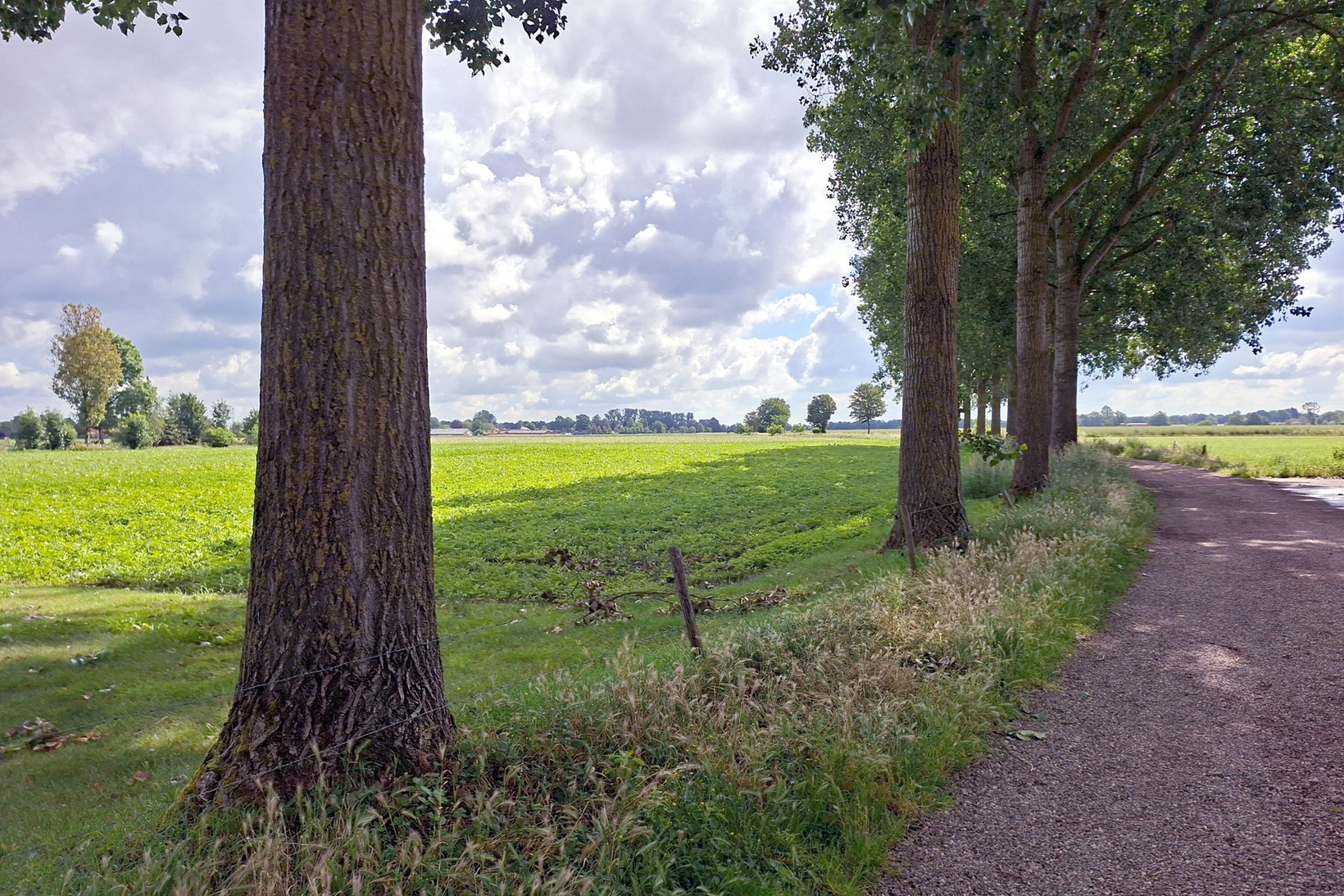 Twee-onder-één-kap te koop: Burg. Van Houtstraat 86, Budel