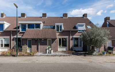 De Wiet 11