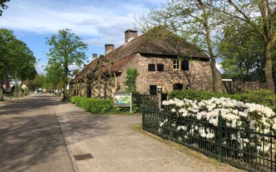 De Dijk 8