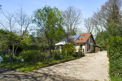 Reewoude 53
