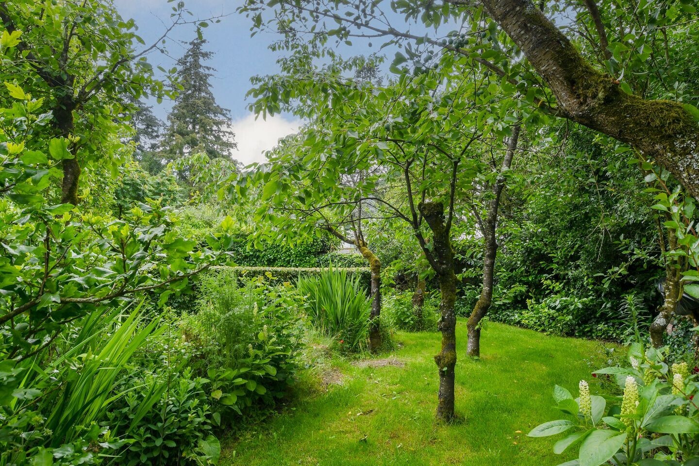 Vrijstaande woning te koop: 't Laar 1, Haelen