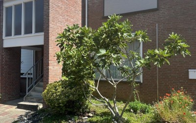 Groen van Prinstererstraat 24