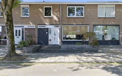 Boerhaavestraat 50