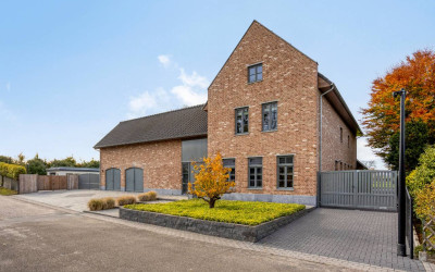 Koeweide 48