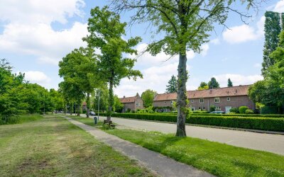 Wijngaardstraat 13