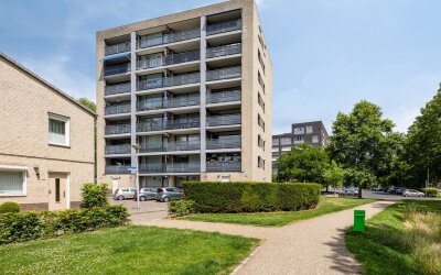 Leugaruwe 5-D