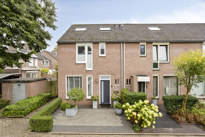 Papaverweerd 7