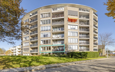 Salviabeemd 35-B