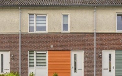 Steenuil 34
