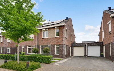 Groene Specht 6