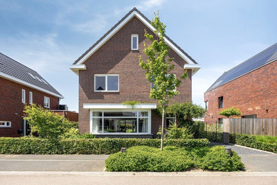 Sleutelbloem 22