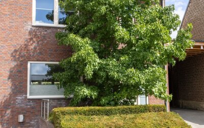 Dorpsstraat 8