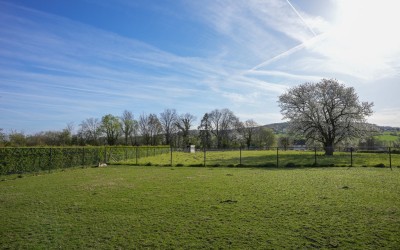 Wilhelminastraat 61