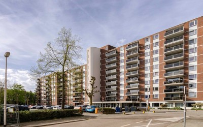 Mariabad 221