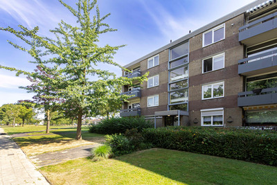 Palmstraat 66