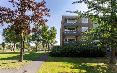 Palmstraat 66