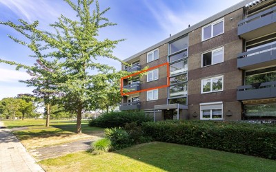 Palmstraat 66