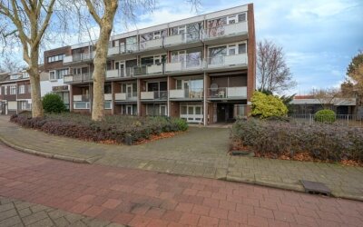 Schandelerboord 9-D