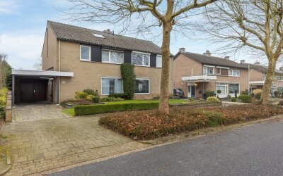 Caumerboord 81