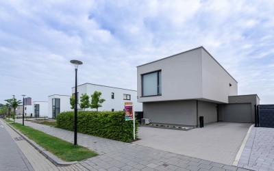 Gentiaan 11