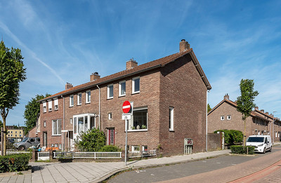 Wilhelminas. 33