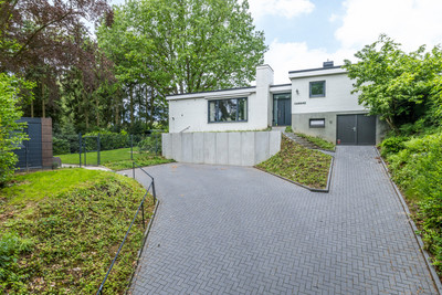 Beukenberg 12