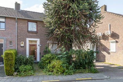 Wilgenstraat 3