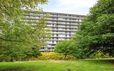 Henri Dunantstraat 245