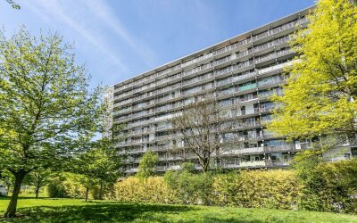 Henri Dunantstraat 275
