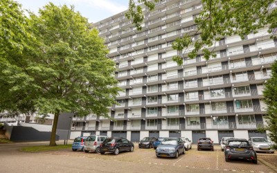 Henri Dunantstraat 301