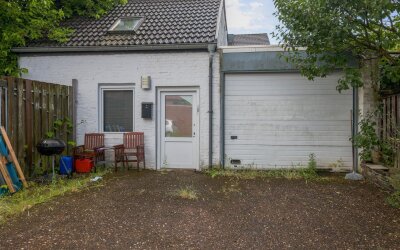 Kokelekant 6
