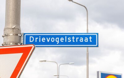 Drievogelstraat 183